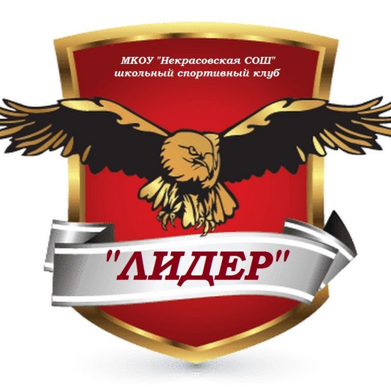 Эмблема ШСК